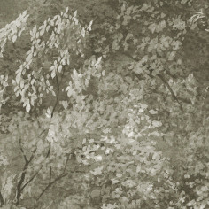 Фотообои Сады Италии, Зеленый